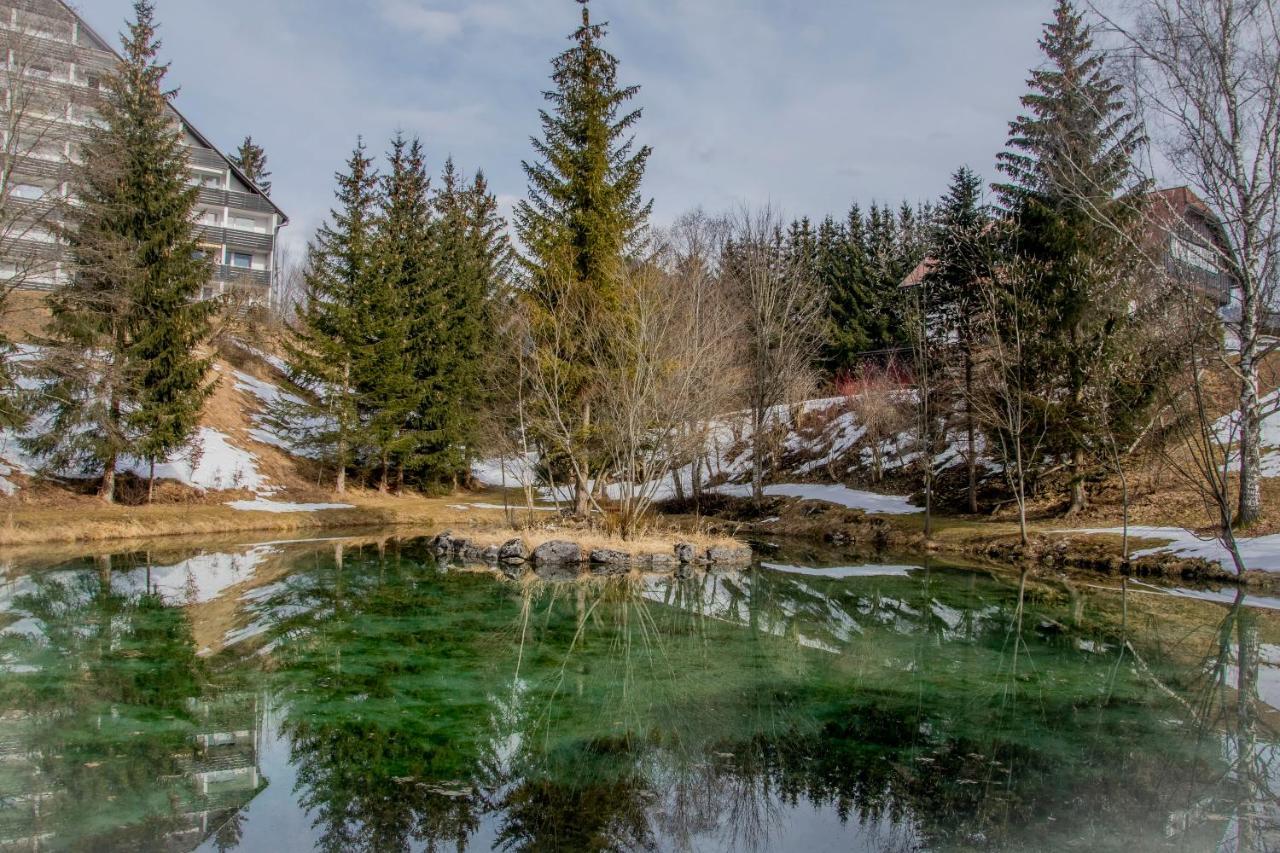 Ferienhaus Fux Bad Mitterndorf Esterno foto